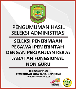 2.848 Pelamar CPNS di Pemko Tanjungpinang Lulus Administrasi (foto : int)