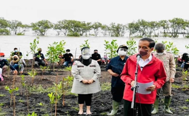 Tanam Mangrove di Riau, Jokowi: Untuk Kendalikan Abrasi (foto : int)