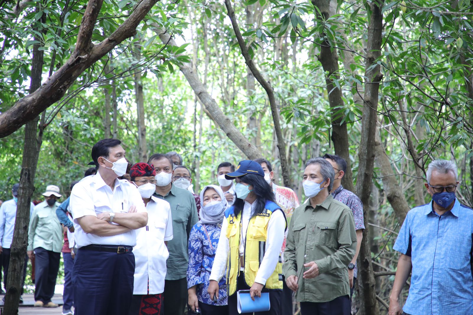 Indonesia Salah Satu Negara Super Power Karbon Kredit Dari Tanaman Mangrove (foto : int)